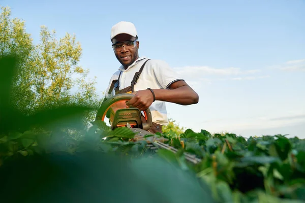 Snygg afrikansk man skär gröna buskar med trimmer — Stockfoto