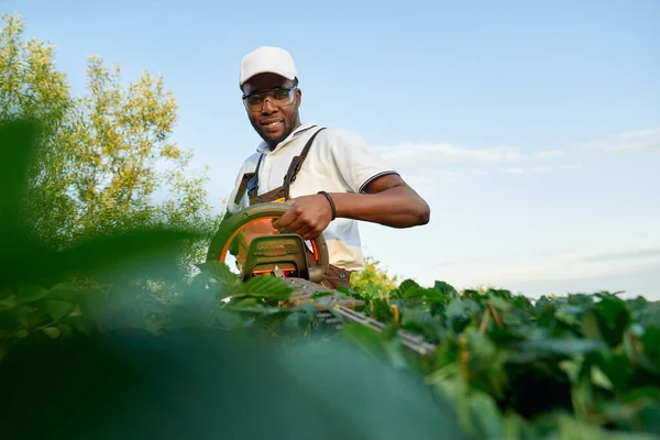 Handsome african man cutting green bushes with trimmer