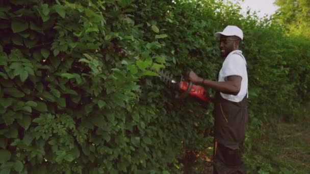 Gülümseyen Afroamerikalı bahçıvan çit kesiyor. — Stok video