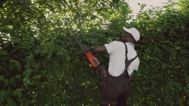 Afroamerikanska gargener som skär grenar på buskar. — Stockvideo