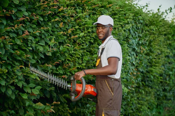 Kompetenta manliga trädgårdsmästare beskärning buskar med elektrisk trimmer — Stockfoto