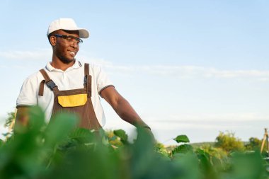 Üniformalı neşeli Afro-Amerikan adam yeşil çalıları buduyor.