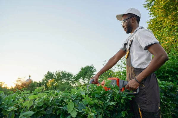 Koncentrerade trädgårdsmästare styckning buskar med patrull trimmer — Stockfoto