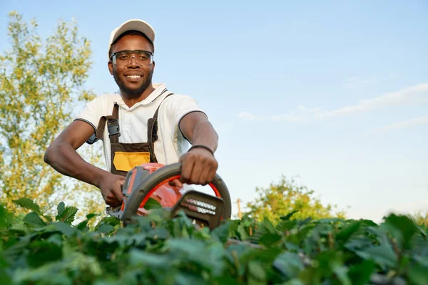 Professionell afrikansk trädgårdsmästare skära buskar med trimmer — Stockfoto