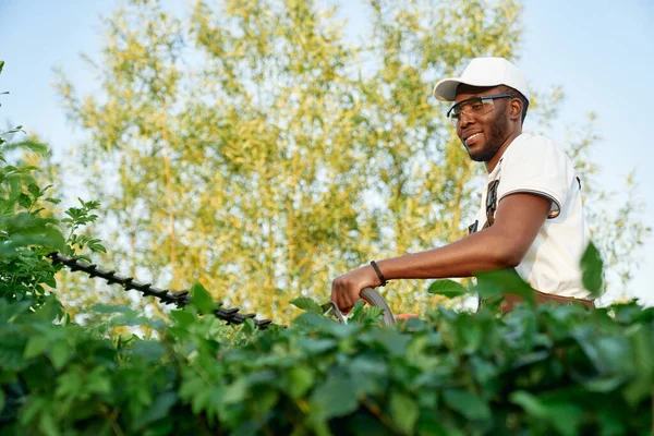 Afrikansk manlig trädgårdsmästare i uniform och glasögon trimning buskar — Stockfoto