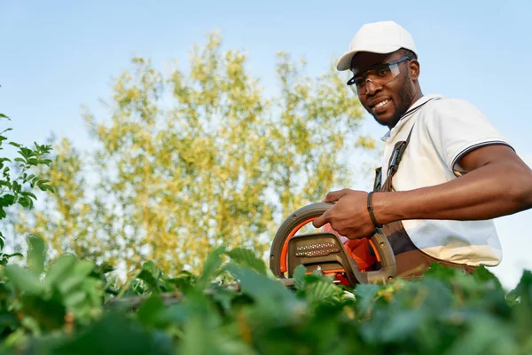Smiling african gardener in overall pruning green bushes — Stock Photo, Image