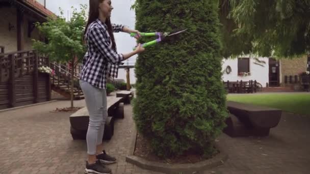 Női kertész ollóval díszítő thuja — Stock videók