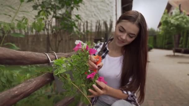 Retrato de florista femenina cortando hojas secas de flores — Vídeos de Stock