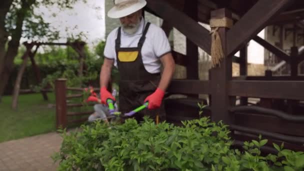 Kız çiçeklerle ilgilenirken yaşlı adam çalıları kesiyor. — Stok video