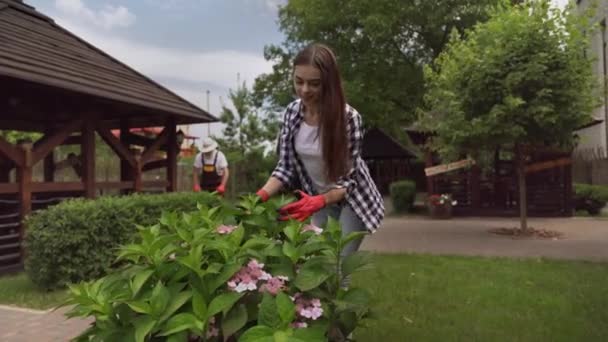 Hermosa chica joven y hombre mayor jardinería al aire libre . — Vídeos de Stock