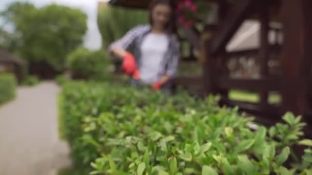 Улыбающаяся очаровательная женщина стрижет заросшие ветви на кустах — стоковое видео