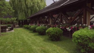 Yeşil çalıları büyük bir makasla kesen çekici kadın.