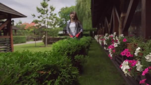 Gelukkig tuinman snijden struiken met de hand schaar buiten — Stockvideo