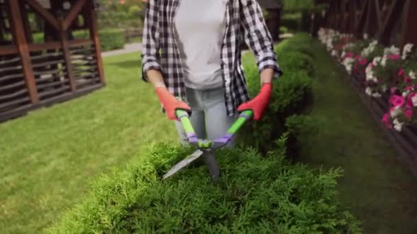 Atraktivní brunetka dívka prořezávání živý plot s ruční nůžky — Stock video