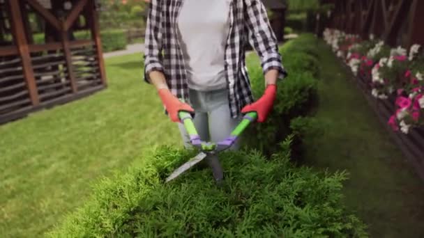 Attraktives brünettes Mädchen schneidet Hecke mit der Handschere — Stockvideo