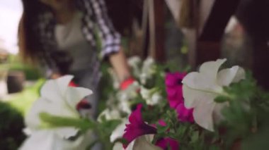 Kahverengi saçlı genç bayan, makas kullanarak kurumuş yaprak kesiyor.