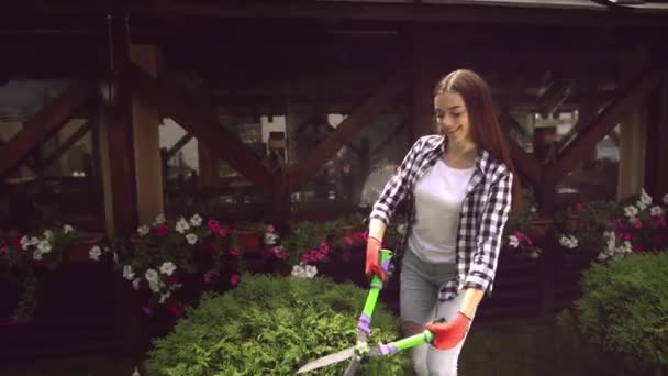 Fröhliches brünettes Mädchen schneidet Busch mit der Handschere — Stockvideo