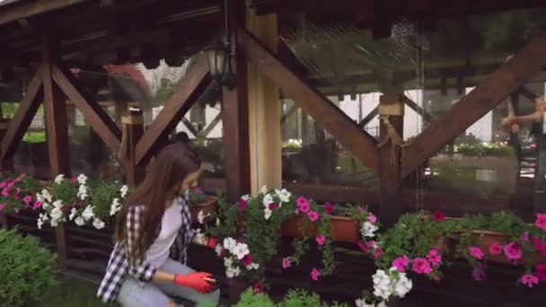 Chica en guantes de goma plantas de corte con podadora de jardín — Vídeos de Stock