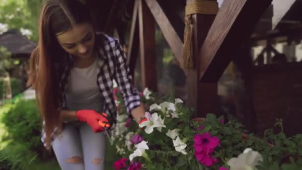 Bloemist in beschermende handschoenen snijden droge bladeren op planten — Stockvideo