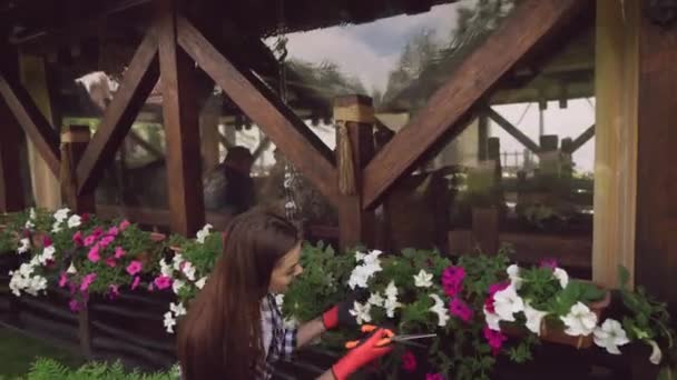 Charming girl cutting houseplants with pruning shears — Stock Video