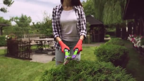 Yaşlı adam çim biçme makinesini iterken kız çalıları kesiyor. — Stok video