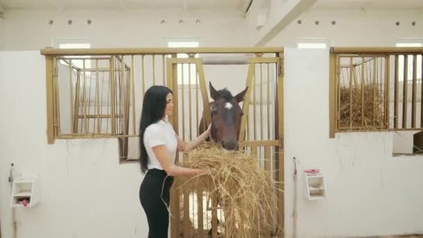 Mujer alimentando caballo con heno fresco . — Vídeo de stock