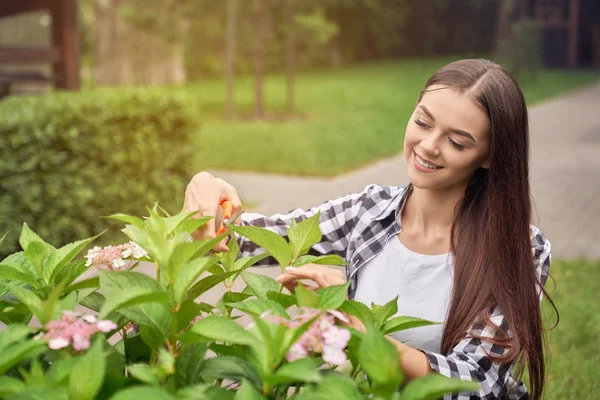 Jonge lachende vrouw snoeistruiken. — Stockfoto