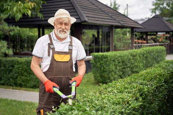 Sonriente hombre mayor cortando arbustos . — Foto de Stock