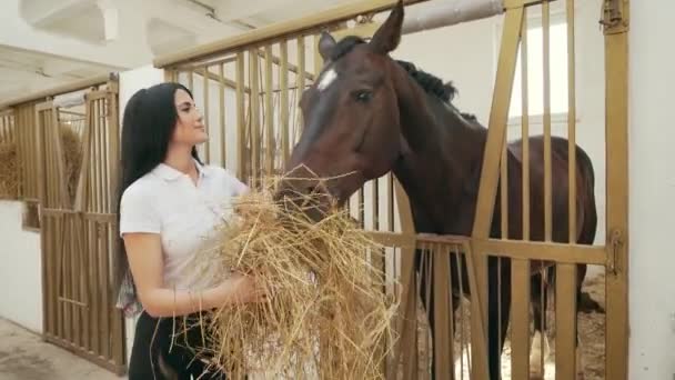 Brunette woman feeding horse with hay. — Stock Video