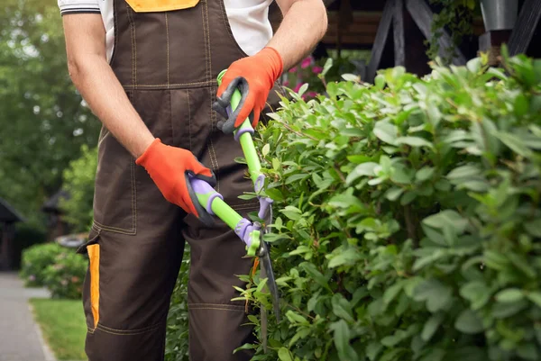 Incognito man snijden overwoekerde struiken. — Stockfoto