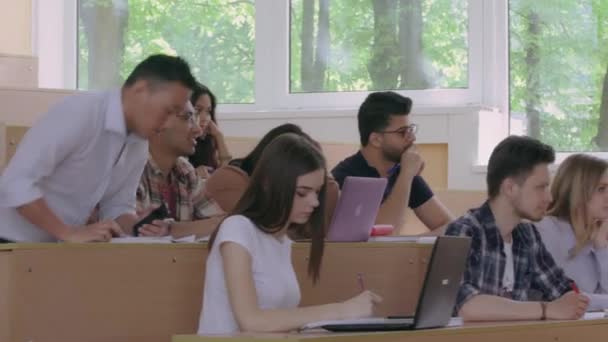 Groupmates studying in university. — Stock Video