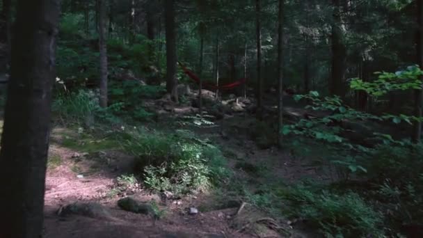 Moto di amaca rossa nella foresta vuota . — Video Stock