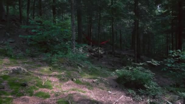 空の森の中の赤いハンモックの動き. — ストック動画