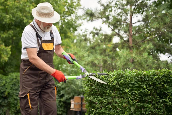 Homem de chapéu cortando arbustos crescidos . — Fotografia de Stock