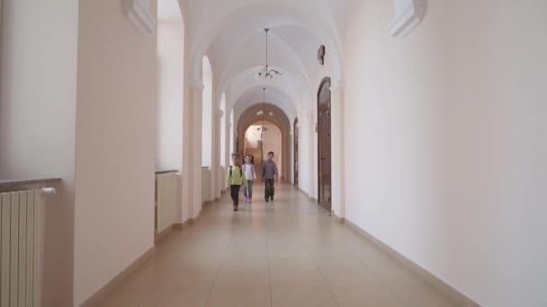 Schoolmates walking through hallway. — Stock Video