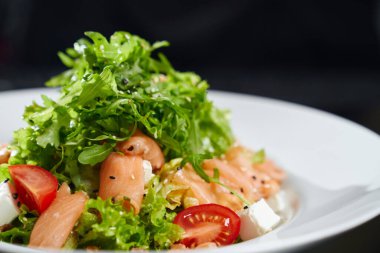 Tabağında somon olan taze salata..