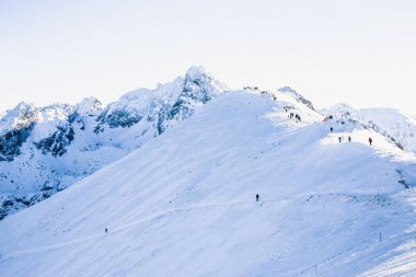 Polonya dağların üst