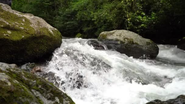 Agua Tormentoso Río Montaña Que Fluye Entre Piedras Rocas Mountain — Vídeos de Stock