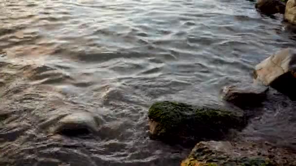 L'eau de mer claire éclabousse les pierres sur le rivage, vue rapprochée. Mer du soir 
