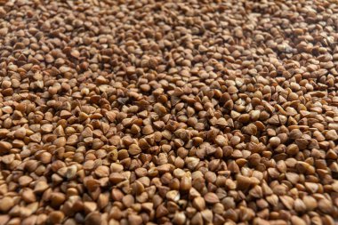 Kuru karabuğday arka planı, tam görüntü. Taze karabuğday. Yan görünüm