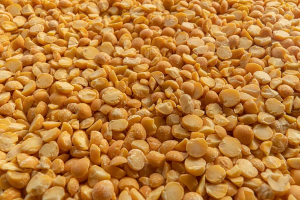 Arkaplan sarısı bezelyeler, tam görüntü. Yan görünüm