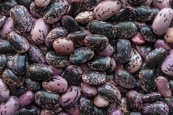 Arkaplan fasulyesi, tam görüntü. Yukarıdan görüntüle