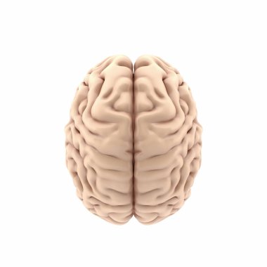 Beyaz arkaplanda 3 boyutlu parlak beyin görüntüleme 