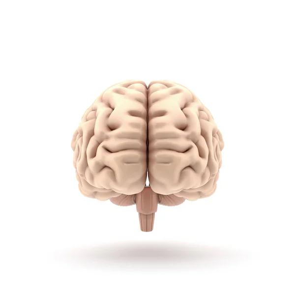 3D brillant rendu du cerveau isolé sur fond blanc — Photo