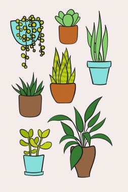 Vektör houseplants tencerelerde ayarlayın. Çizilmiş karikatür koleksiyonu el