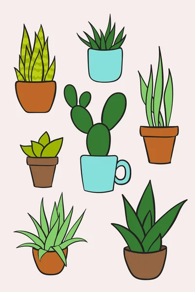 Establecer vector de plantas de interior en macetas. Colección de dibujos animados dibujados a mano — Archivo Imágenes Vectoriales