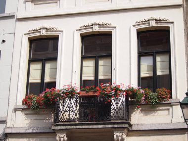 Art Nouveau Windows Brüksel'deki