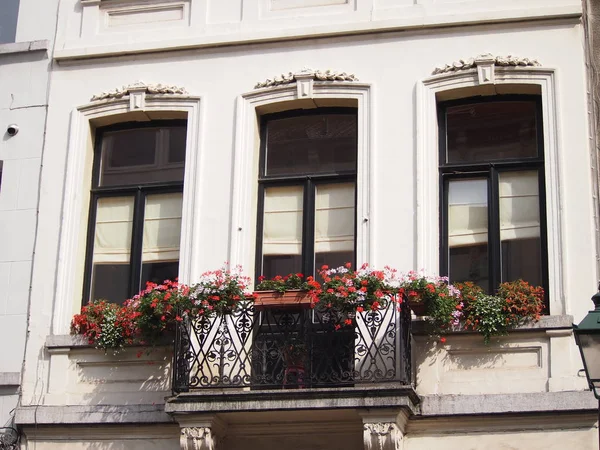 Art Nouveau Windows Brüksel'deki