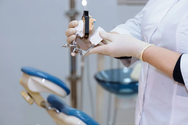 Médico dentista mão segurando amostra maxilar ferramentas médicas em consultório odontológico. Conceito de saudável — Fotografia de Stock