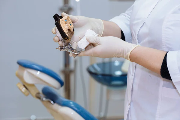 Médico dentista mão segurando amostra maxilar ferramentas médicas em consultório odontológico. Conceito de saudável — Fotografia de Stock